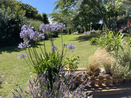 jardin paisible et fleuri de l'hôtel aux tamaris à Belle Ile en Mer
