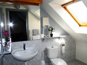 salle de bains chambre confort hotel tamaris (2)  